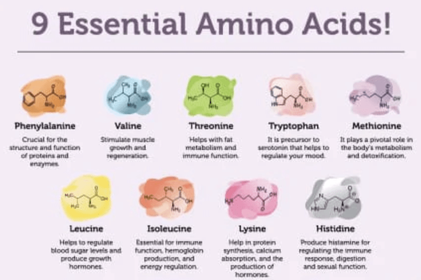 Essential Amino Acids